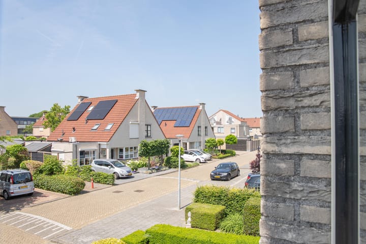 Foto 55 van Kaardebol 10