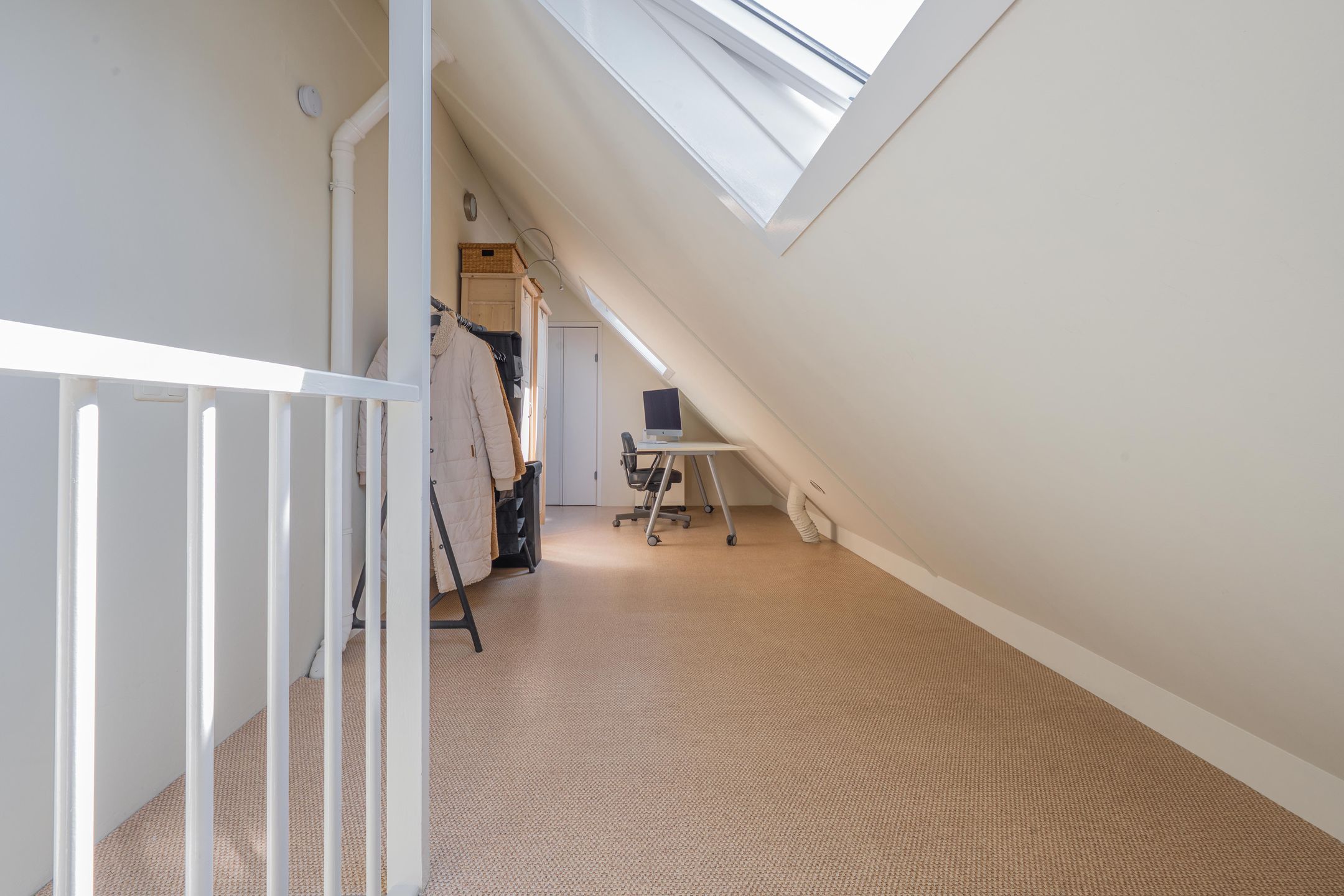 Foto 69 van Kaardebol 10