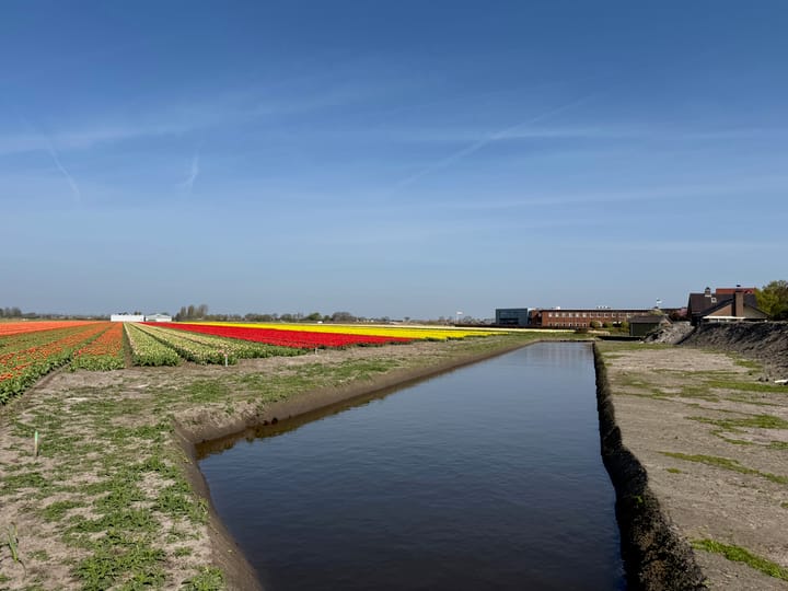 Photo 3 of Leidsestraat nabij 140