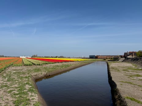 Leidsestraat nabij 140 tertiary image