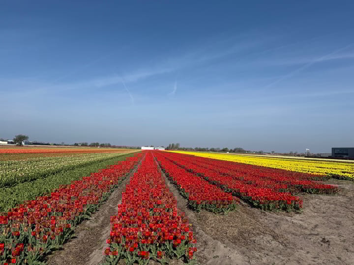 Photo 8 of Leidsestraat nabij 140