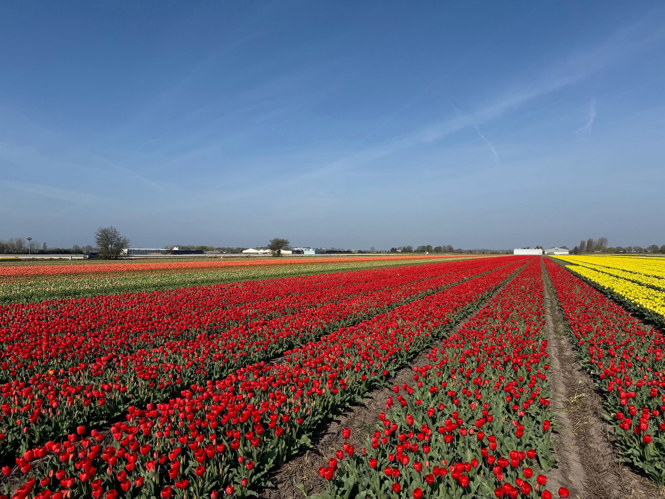 Photo 9 of Leidsestraat nabij 140