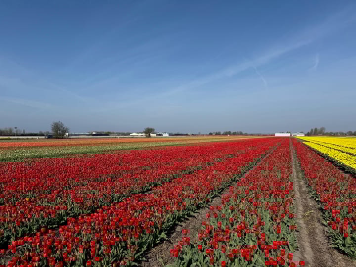 Photo 9 of Leidsestraat nabij 140