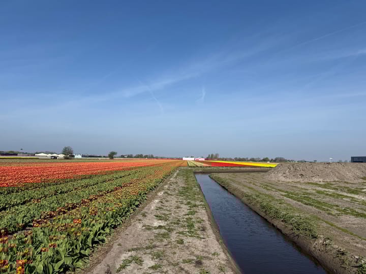 Photo 10 of Leidsestraat nabij 140