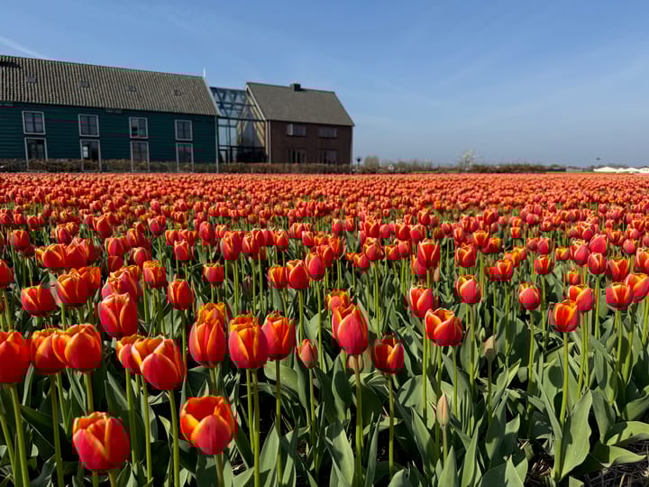 Photo 11 of Leidsestraat nabij 140