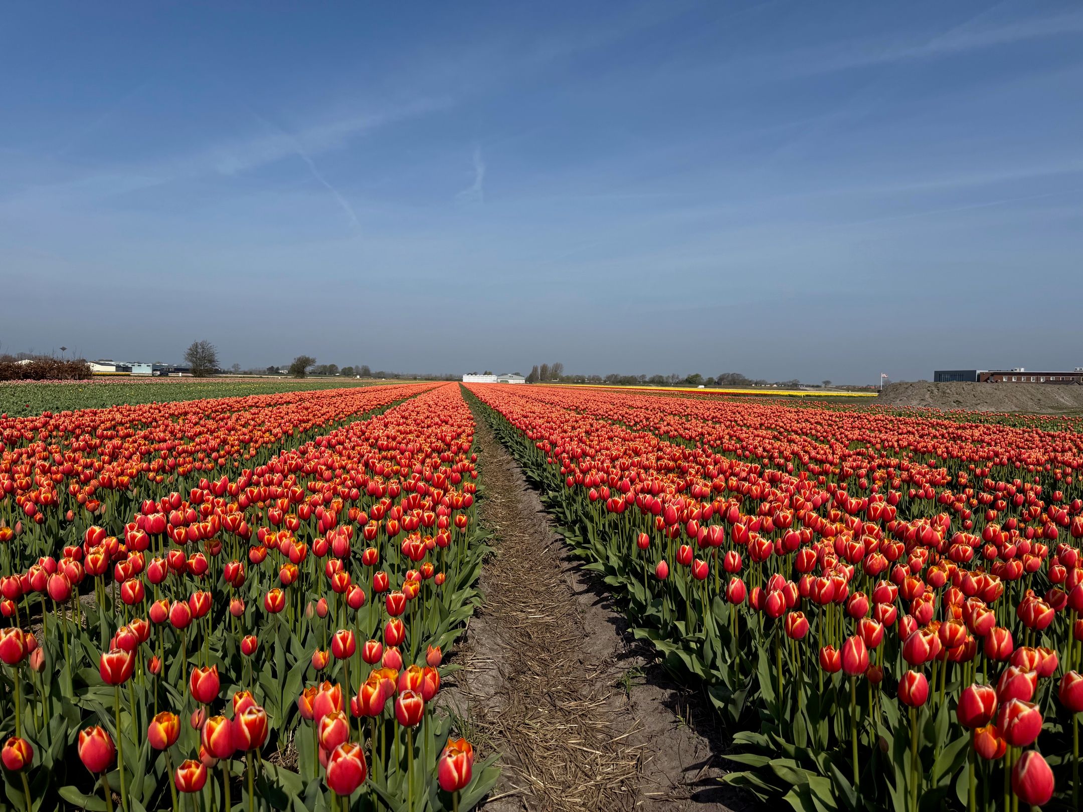 Photo 12 of Leidsestraat nabij 140