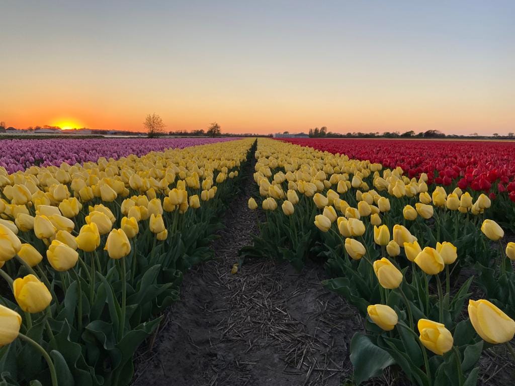 Photo 13 of Leidsestraat nabij 140