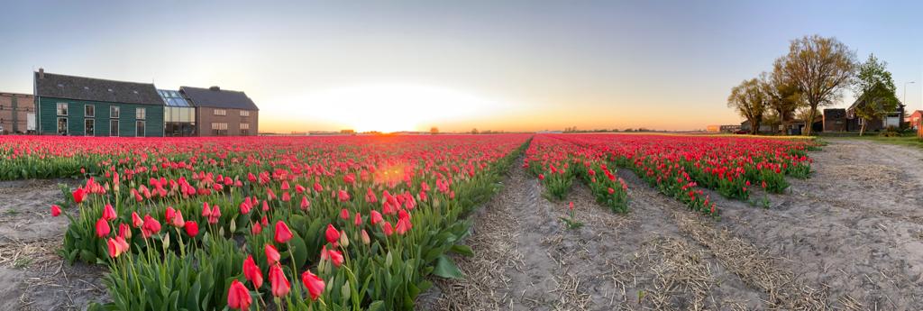 Photo 14 of Leidsestraat nabij 140