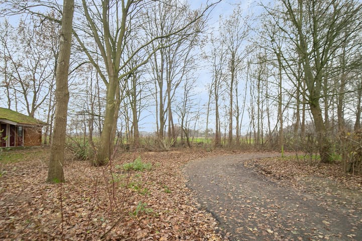 Foto 21 van Boslaan 1-R19