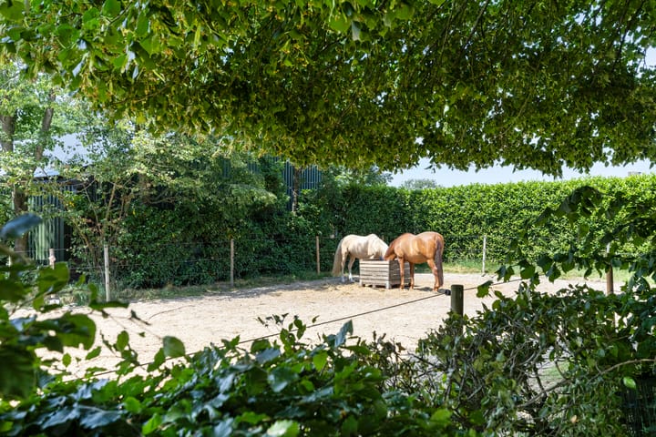 Foto 39 van Grazenseweg 1-A