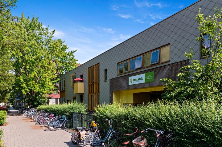 Foto 36 van Anna Paulownastraat 9