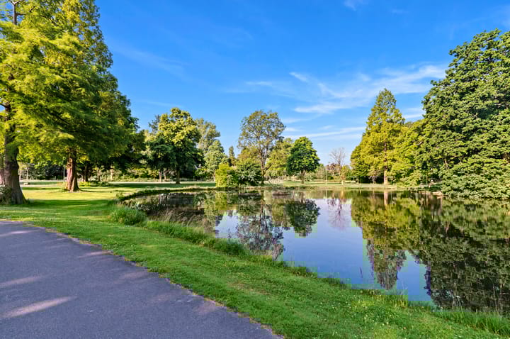 Foto 37 van Anna Paulownastraat 9