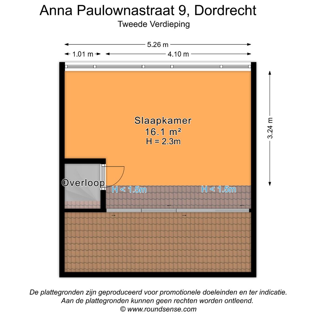 Foto 41 van Anna Paulownastraat 9