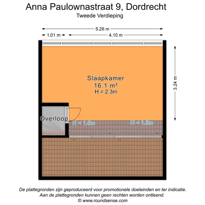 Foto 41 van Anna Paulownastraat 9