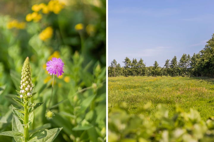 Photo 39 of Lânsbuorren 7