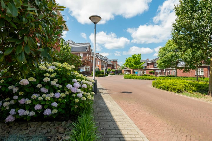 Foto 50 van Eerdmanserve 7