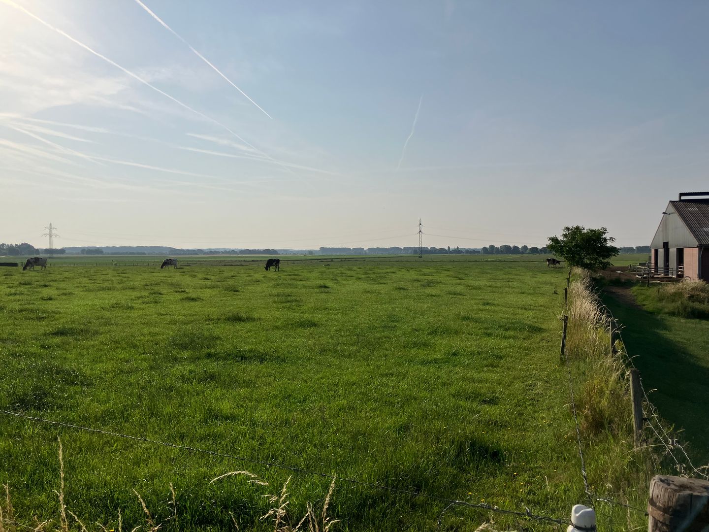 View photo 5 of Rohrstraat