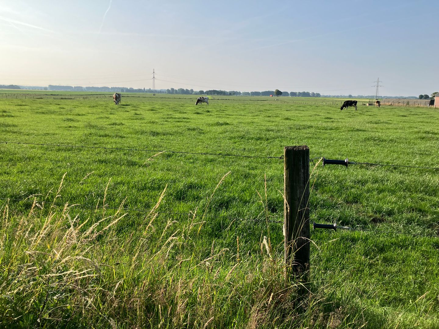View photo 4 of Rohrstraat