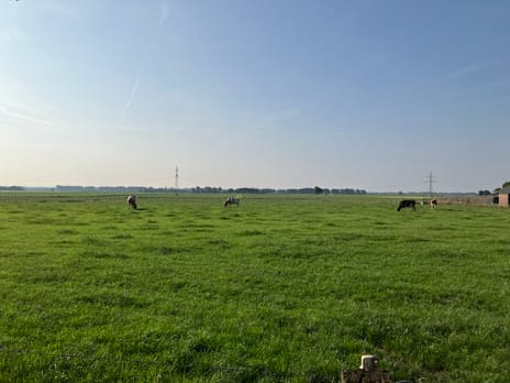 View photos