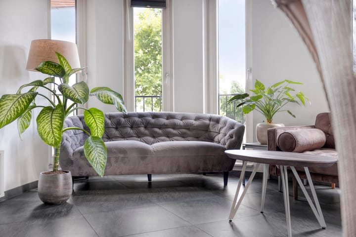 Foto 13 van Baak van Domburg 32