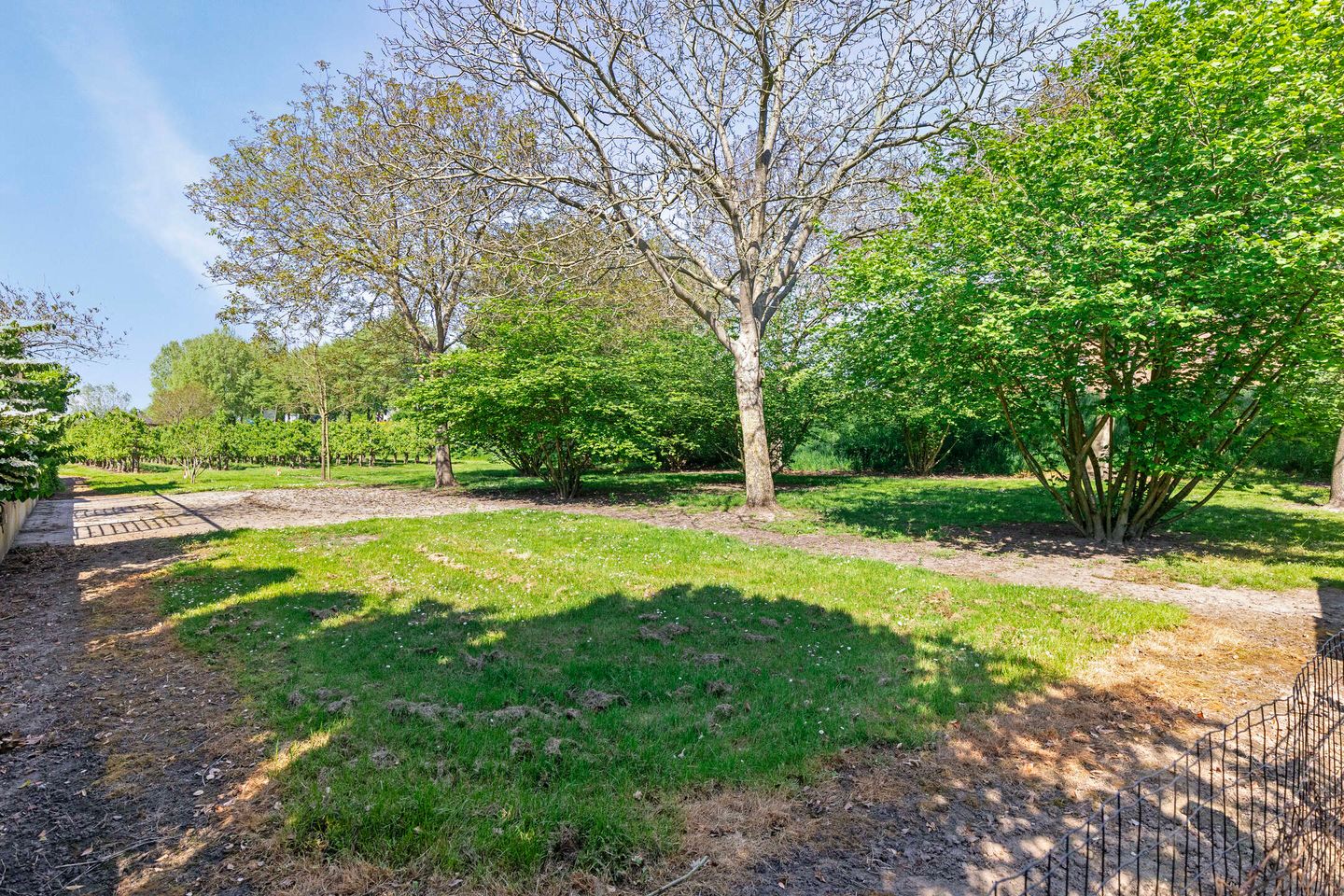 Foto 29 van Langwijkstraat 3