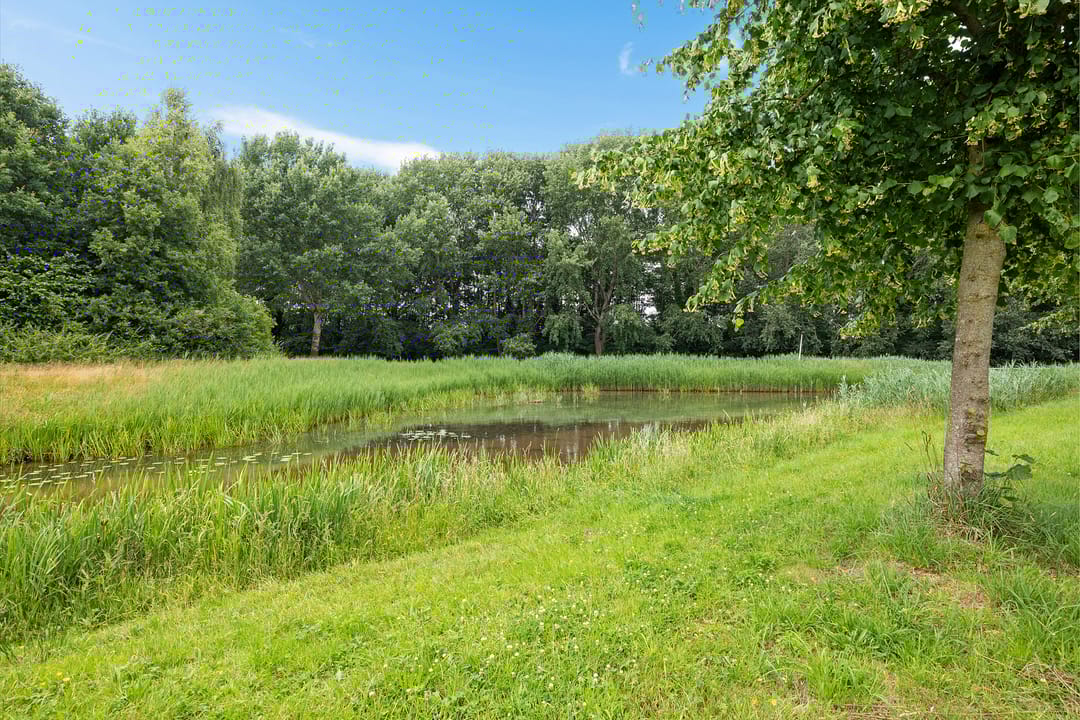 Foto 2 van Bûtewacht 47