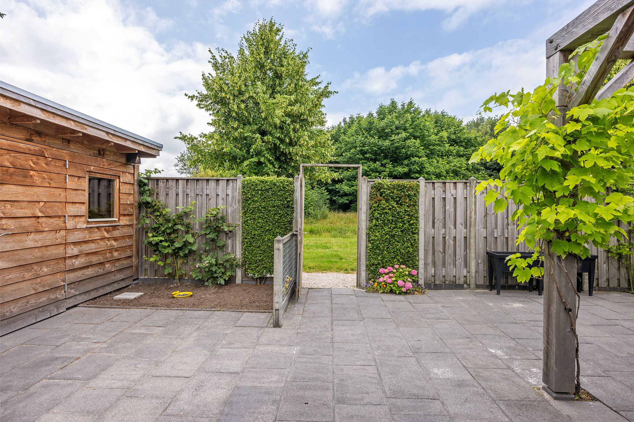 Foto 45 van Bûtewacht 47