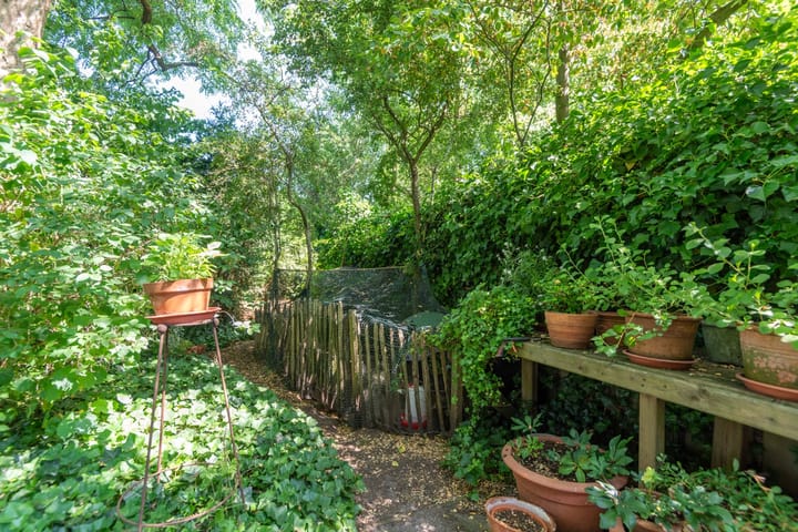 Foto 37 van Rooseveltlaan 13