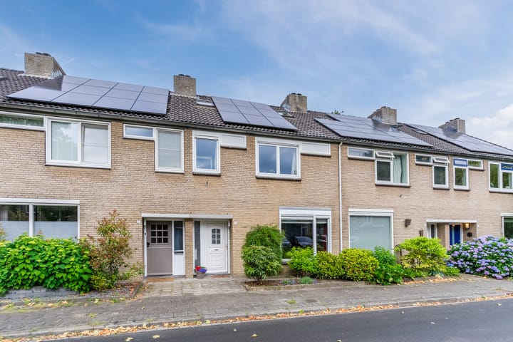 Bekijk foto van Paladijnstraat 23