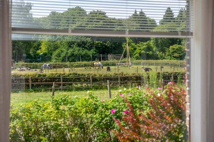 Foto 9 van Bildersweg 18