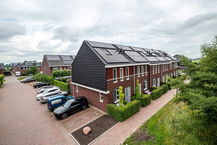 Foto 1 van Honderdspint 16