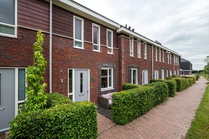 Foto 6 van Honderdspint 16