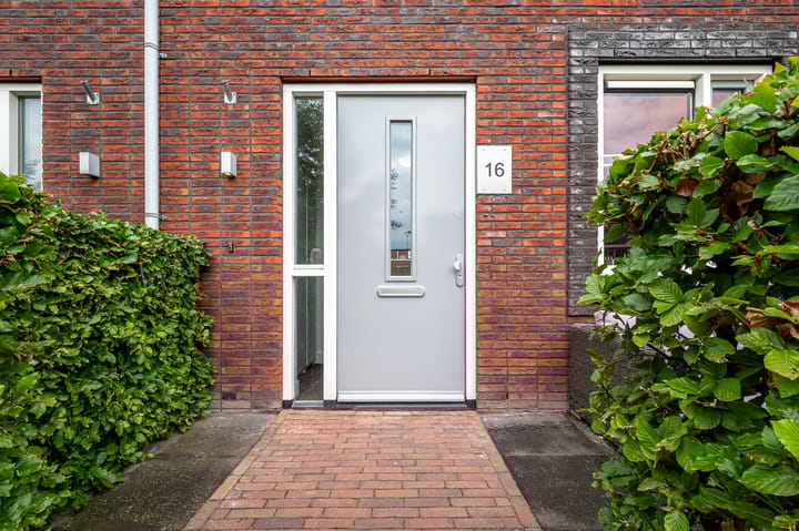 Foto 11 van Honderdspint 16