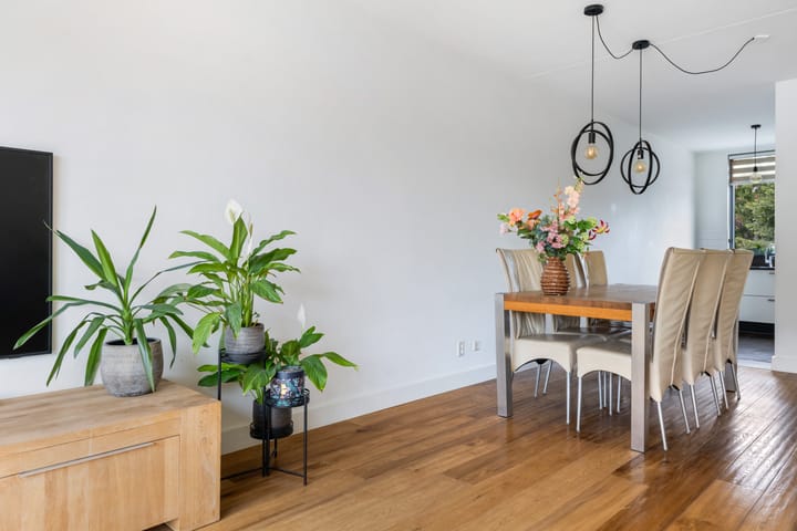 Foto 16 van Jan Steenstraat 55-B