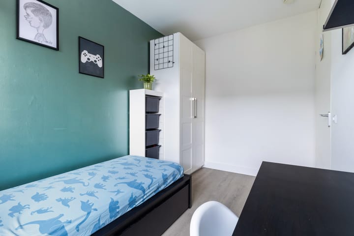 Foto 37 van Jan Steenstraat 55-B