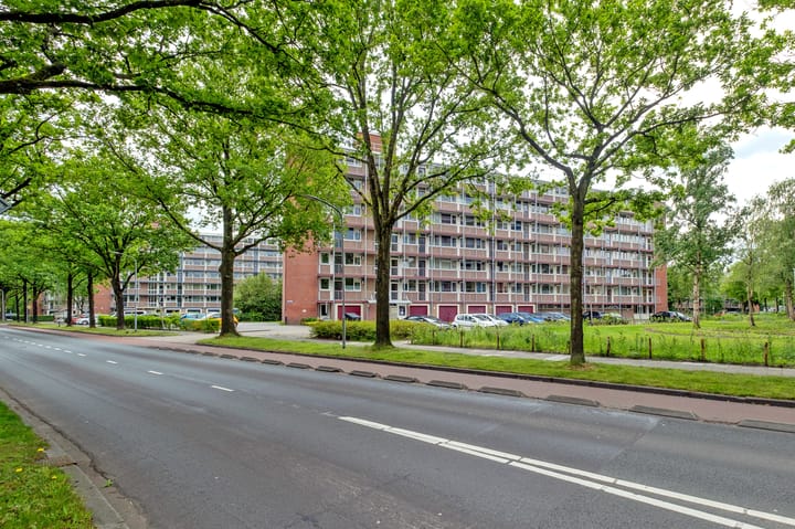 Foto 32 van Maria in Campislaan 233