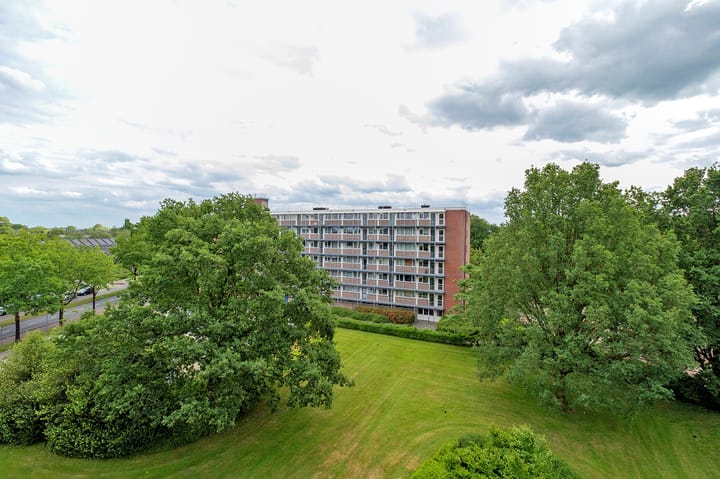 Foto 33 van Maria in Campislaan 233