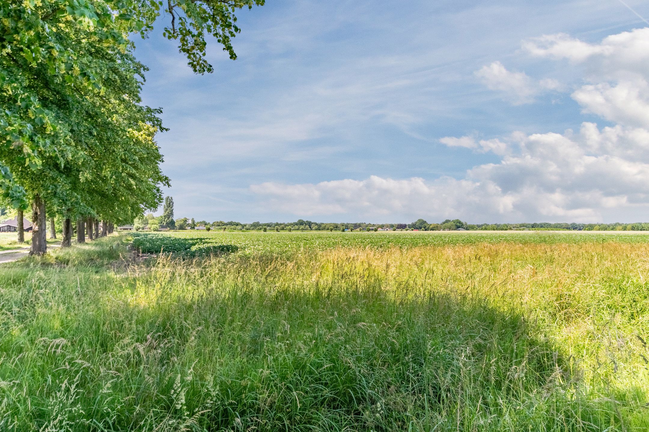 Foto 51 van Willibrordusstraat 27