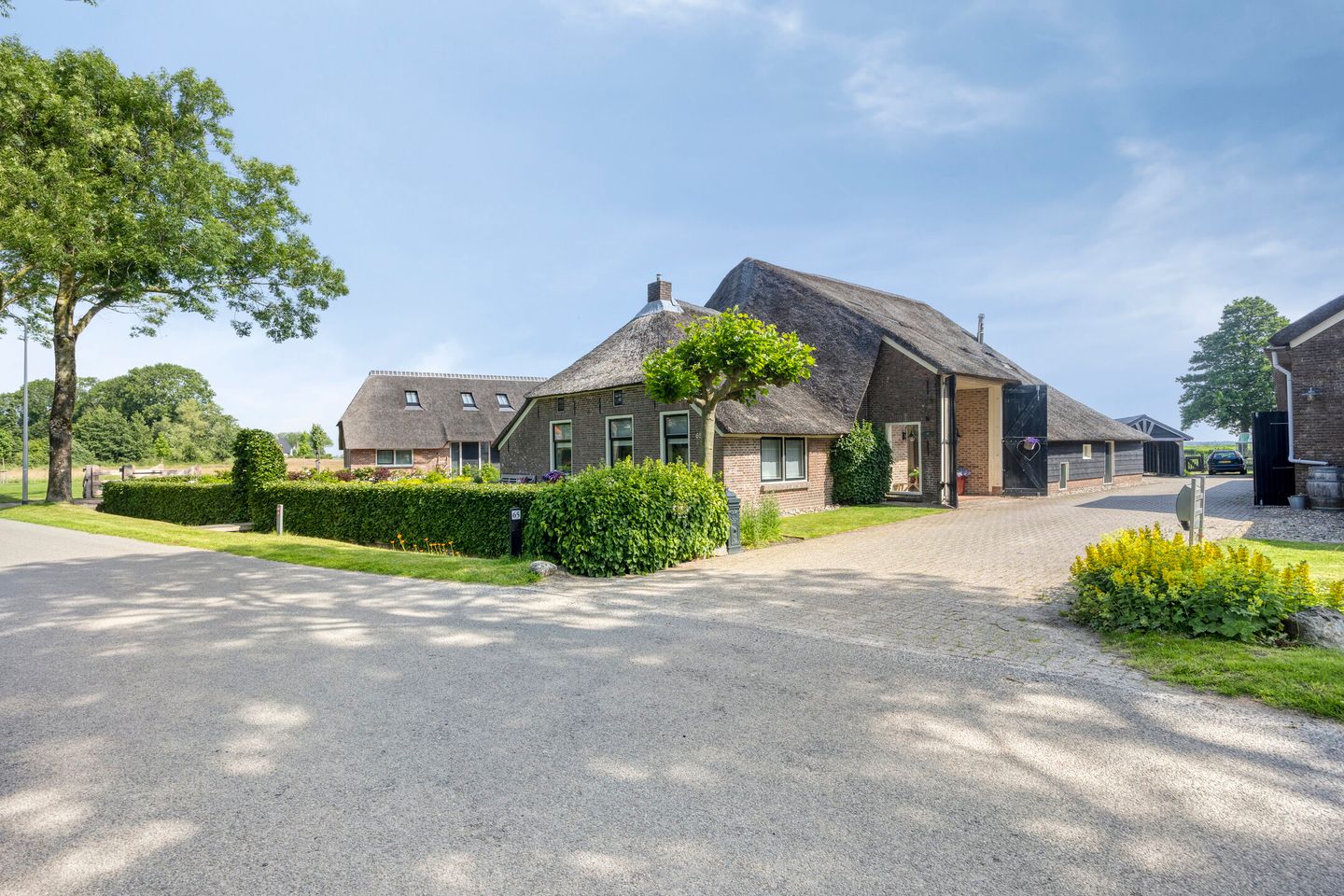 Foto 65 van Leeuwte 65