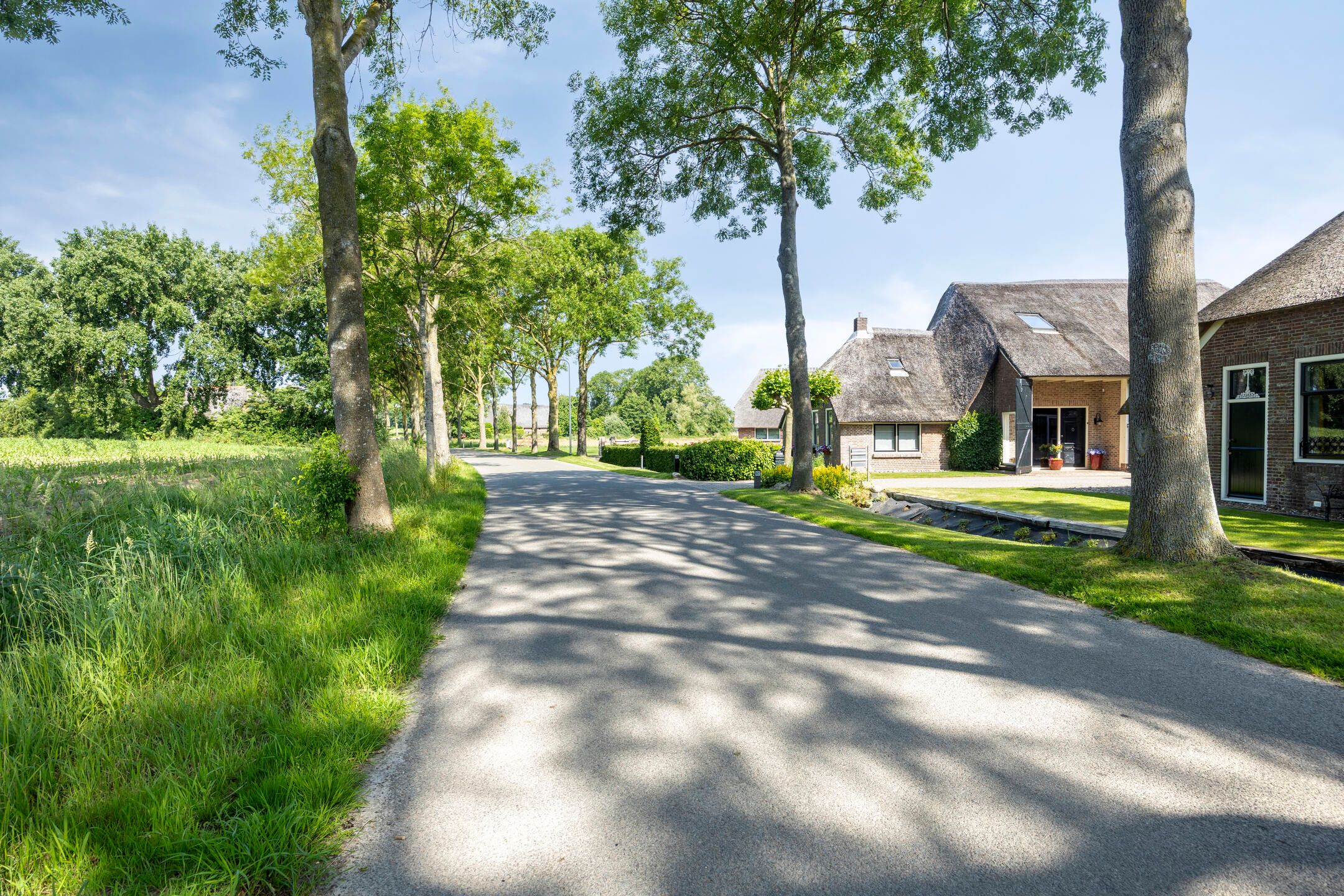 Foto 66 van Leeuwte 65