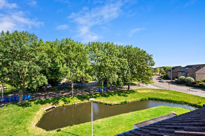 Foto 43 van Hofsingel 123