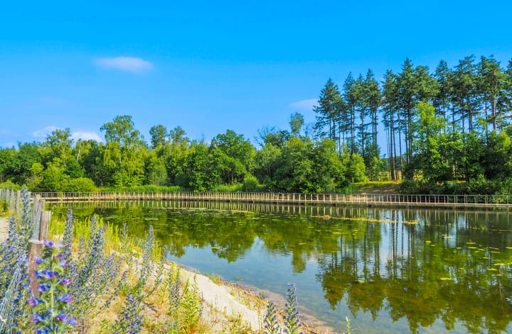 Foto 38 van Van Musschenbroekstraat 40