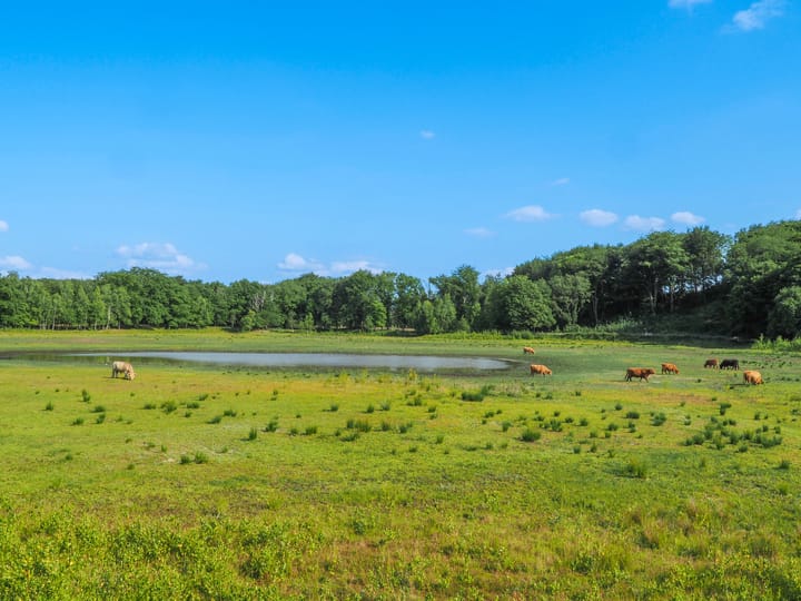 Foto 42 van Van Musschenbroekstraat 40