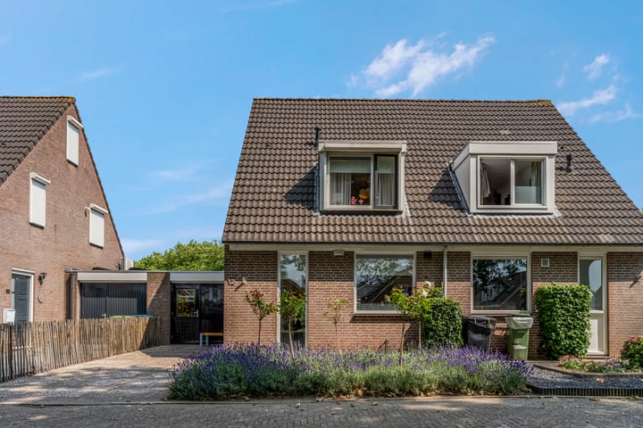 Foto 5 van Adriaan van Ostadestraat 12