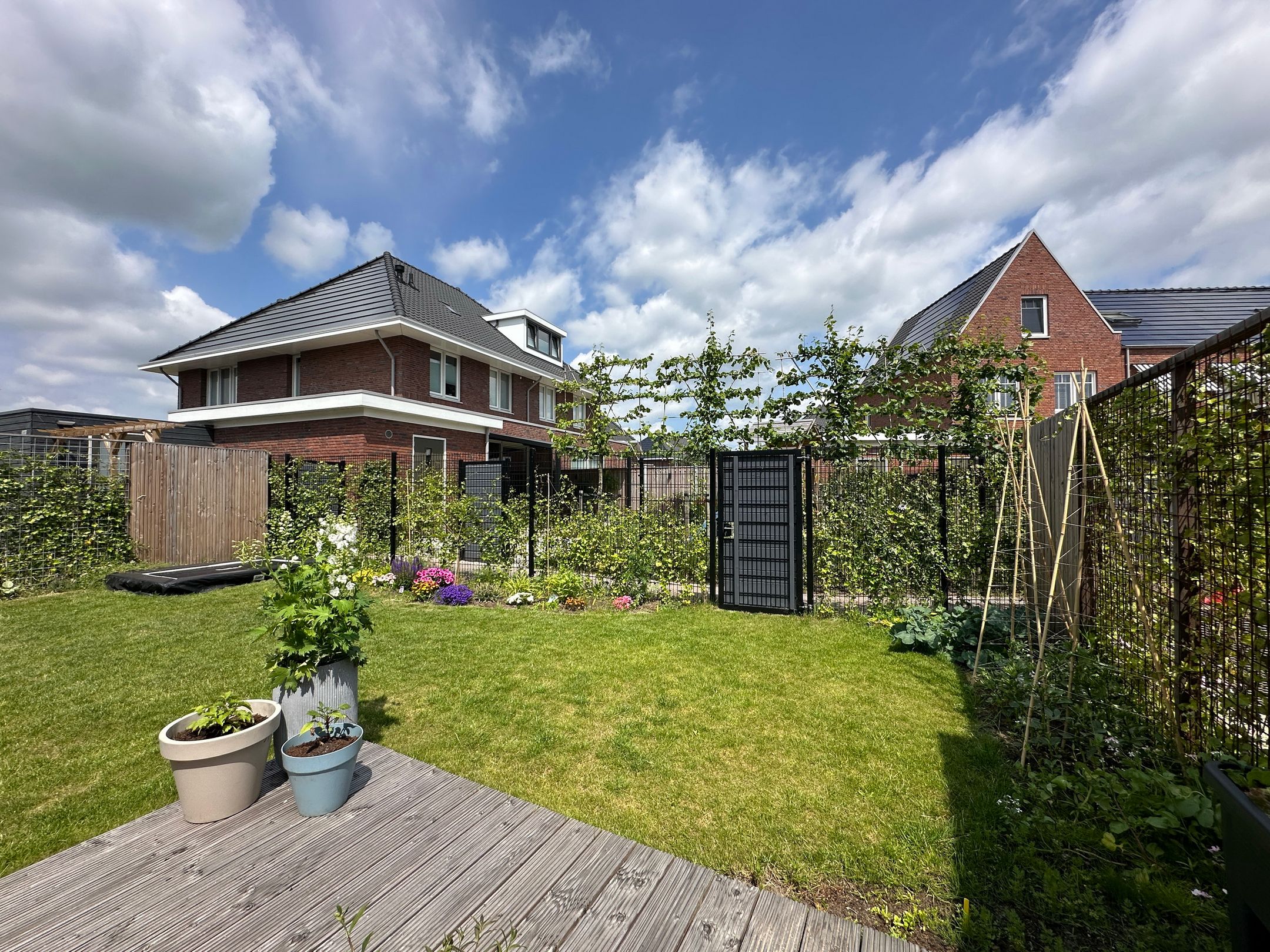 Foto 39 van Pyreneeën 25