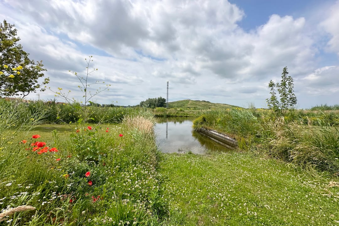 Foto 47 van Pyreneeën 25