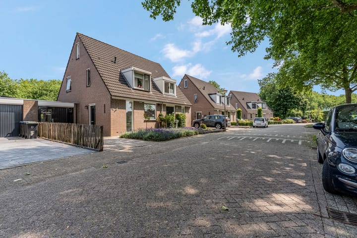 Foto 42 van Adriaan van Ostadestraat 12