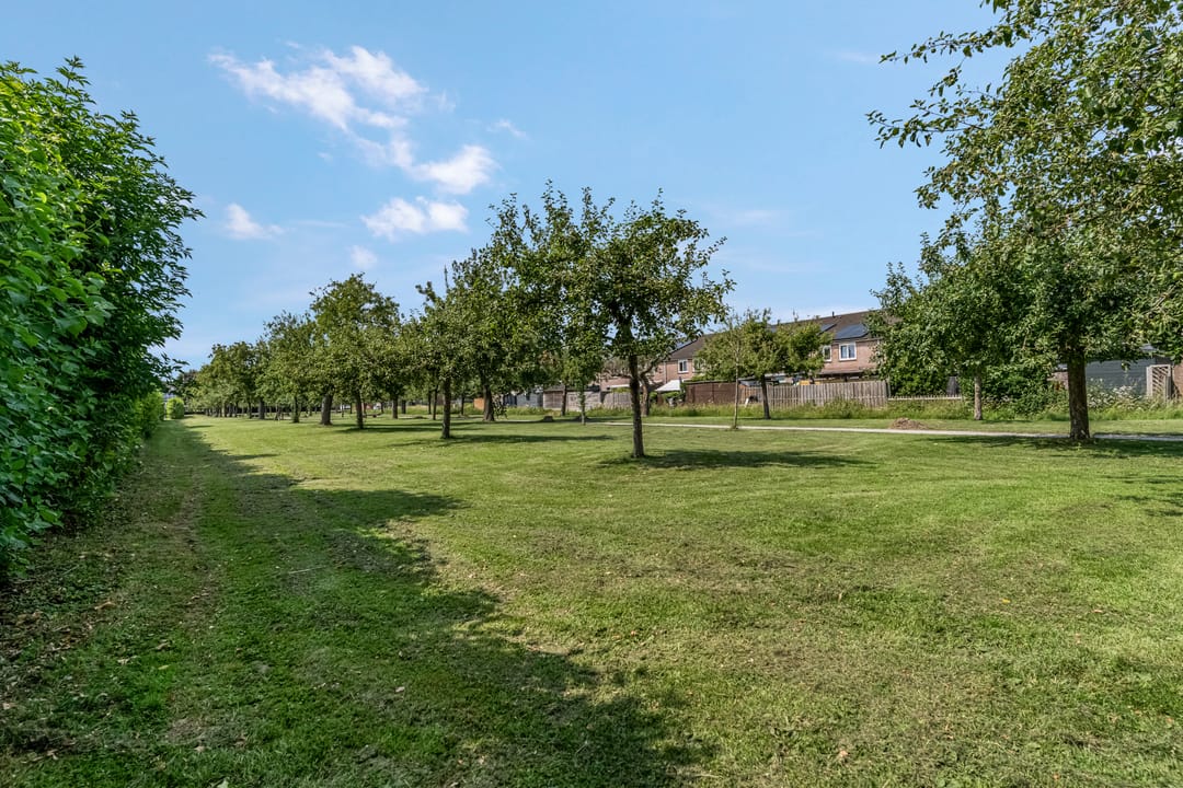 Foto 46 van Adriaan van Ostadestraat 12