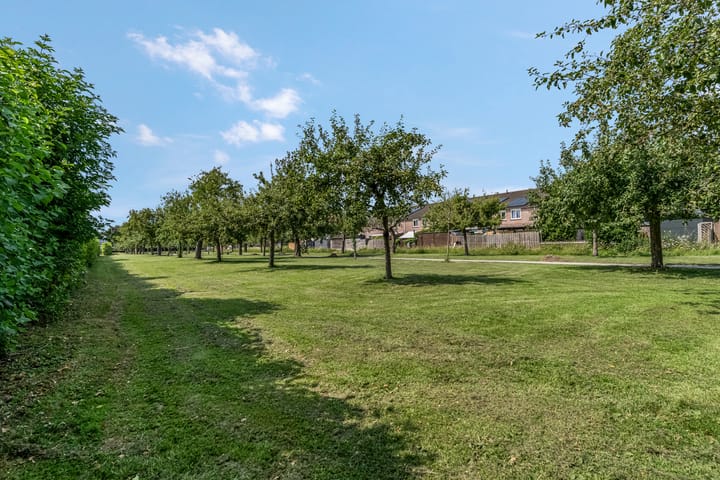 Foto 46 van Adriaan van Ostadestraat 12