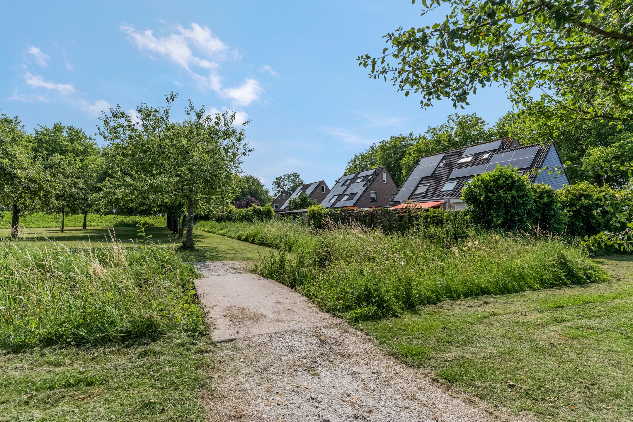 Foto 48 van Adriaan van Ostadestraat 12